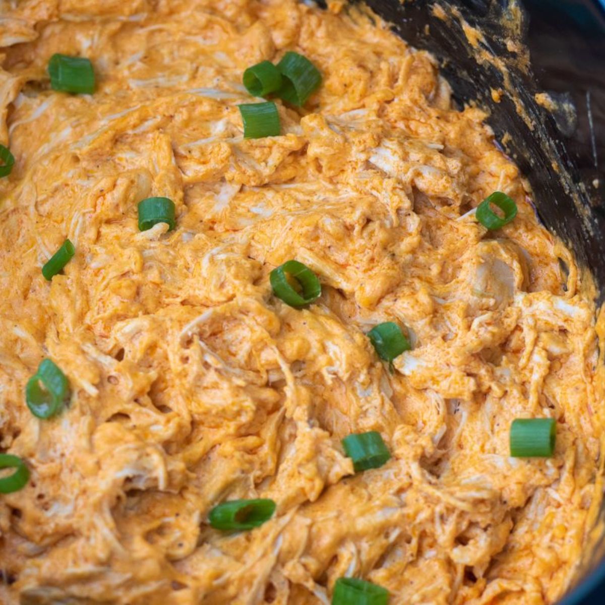 Crock Pot Buffalo Chicken Dip - THIS IS NOT DIET FOOD